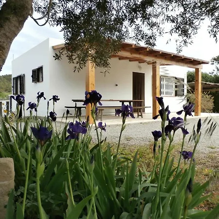 Sa Vinya Casa De Campo Es Cubells Buitenkant foto